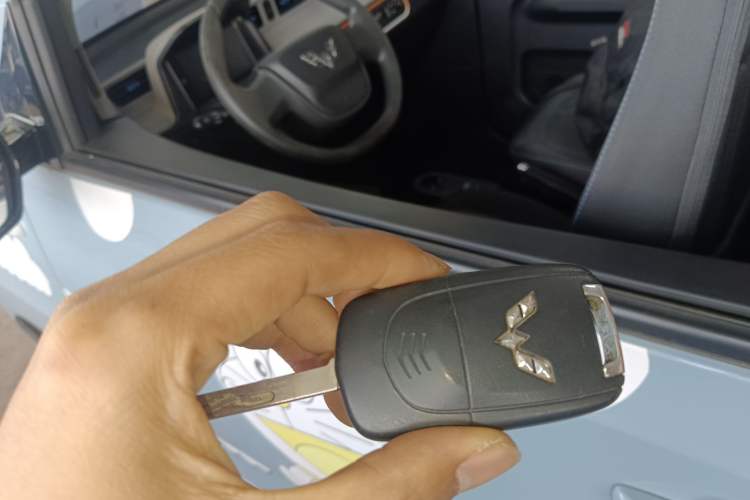 Used Wuling Hongguang MINIEV 2020 Freedom Version Lithium Iron Phosphate