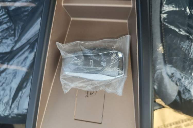 Used JAC Yiwei E10X 2024 Charming Edition 301km Lite