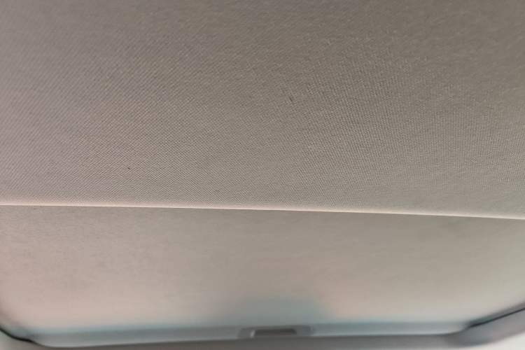 Used Tank 300 2021 Off-Road Edition 2.0T Conqueror Headliner