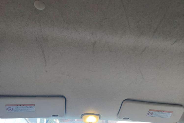 Used Suzuki Alto 2009 1.0L Manual Deluxe Edition Headliner