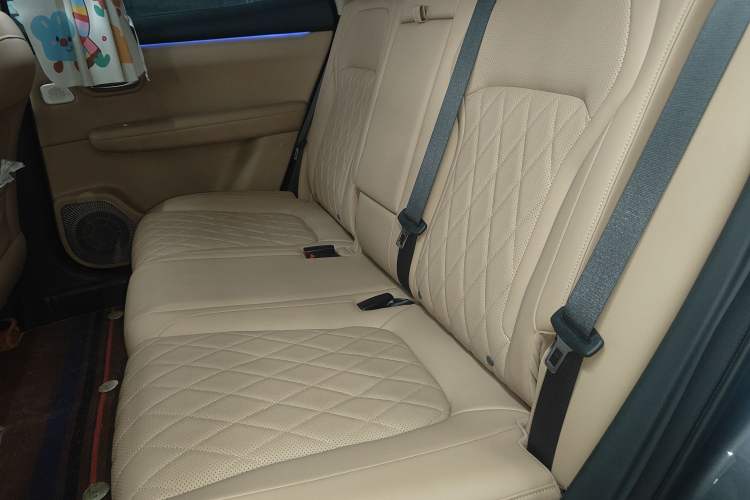 Used Landian E5 PLUS 2026 Model 165km Long-Range Travel Flagship Version 5-seater
