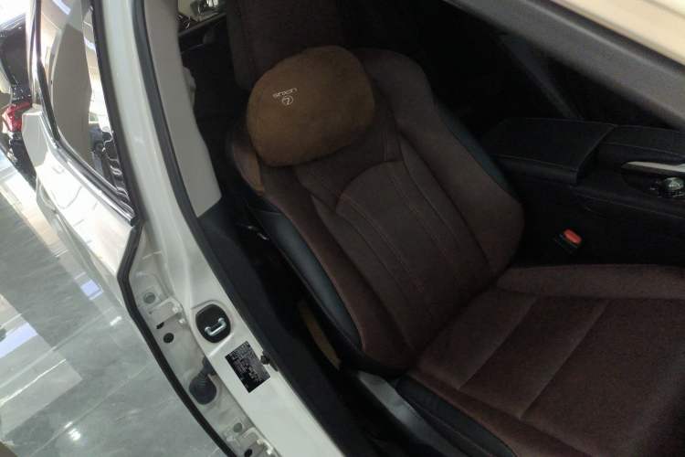 Used Lexus RX 2020 300 Two-Wheel Drive Elite Edition China VI Standard