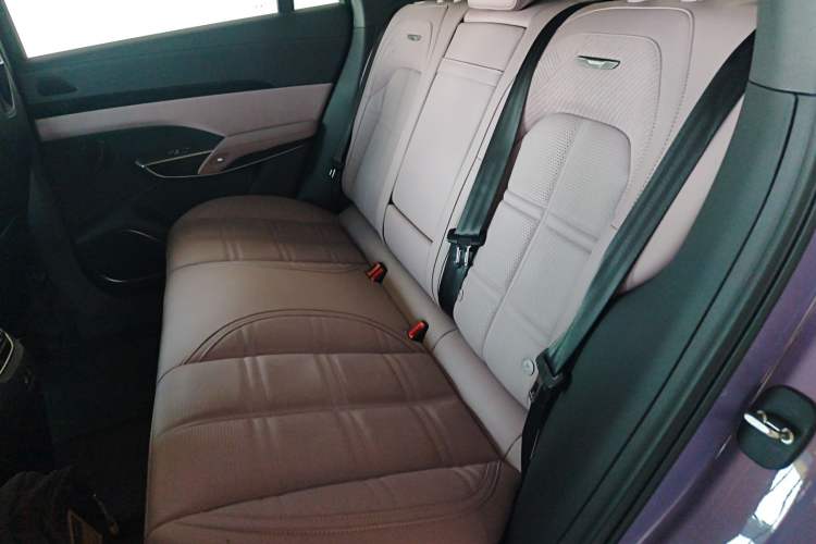 Used Hongqi Tiangong 08 2025 680 Ultra Four-Wheel-Drive Version Left Rear Seat