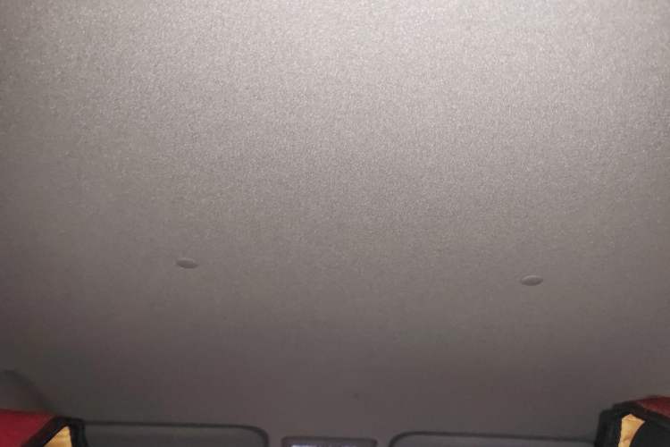 Used Toyota YARiS L Zhi Xuan 2016 Revised 1.5E CVT Charming Edition Headliner