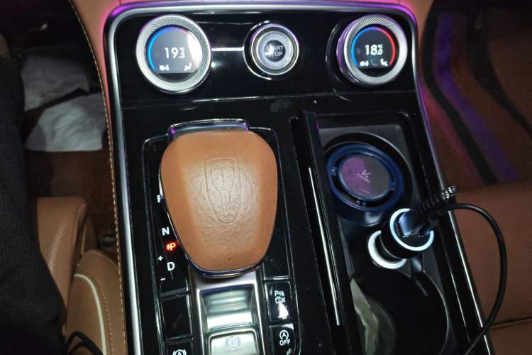 Used Hongqi H9 2020 2.0T Smart Connect Flagship Edition