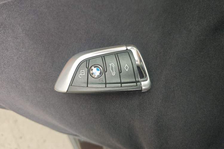 Used BMW 5 Series 2018 528Li Launch Special Edition