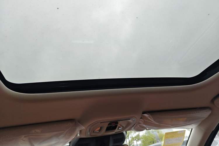 Used Haval Fierce Dragon Max 2025 Hi4 110 Plus Smart Drive Edition Headliner