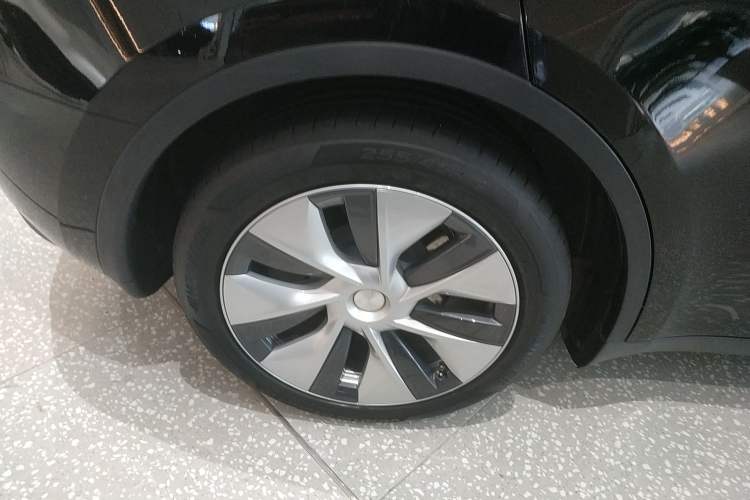 Used Tesla Model Y 2021 Standard Range Rear-Wheel Drive Version
