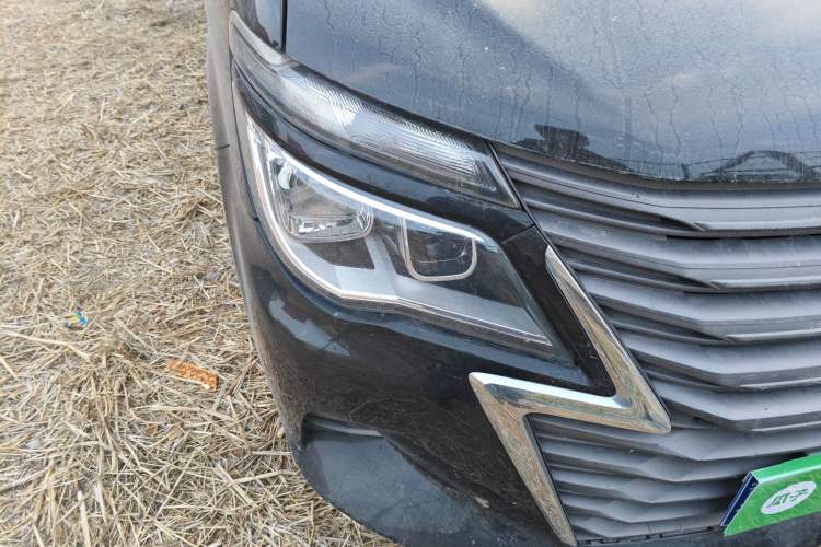 Used FORTHING Lingzhi 2020 M5L 1.6L Luxury 7-Seater