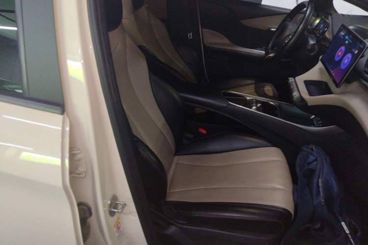 Used BYD Dolphin 2023 420 km Free Version Right Front Seat