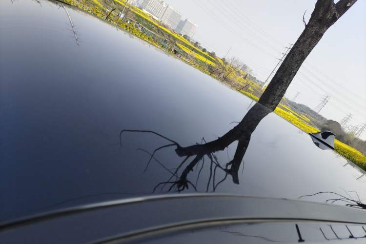 Used Chery QQ QQ Ice Cream 2022 120km Conical Shape Lithium Iron Phosphate
