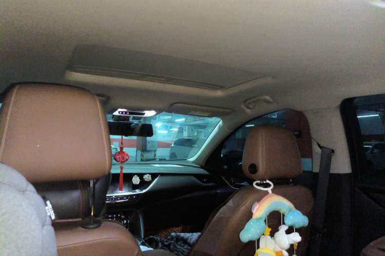 Used Buick Regal 2019 20T Elite Version China VI Standard