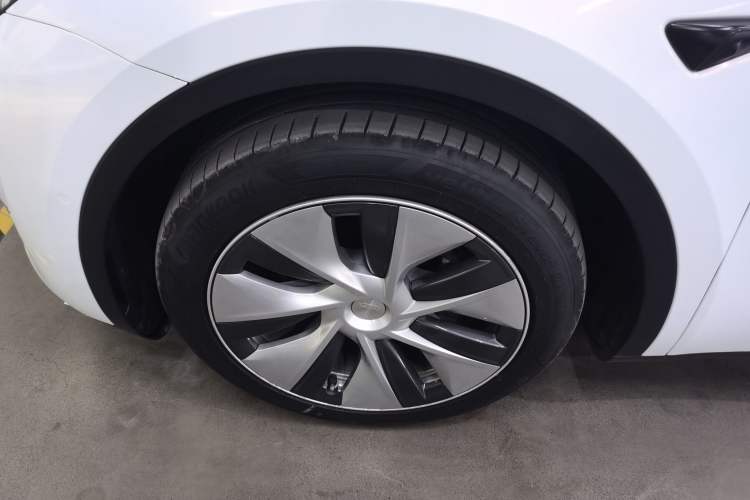 Used Tesla Model Y 2021 Standard Range Rear-Wheel Drive Version
