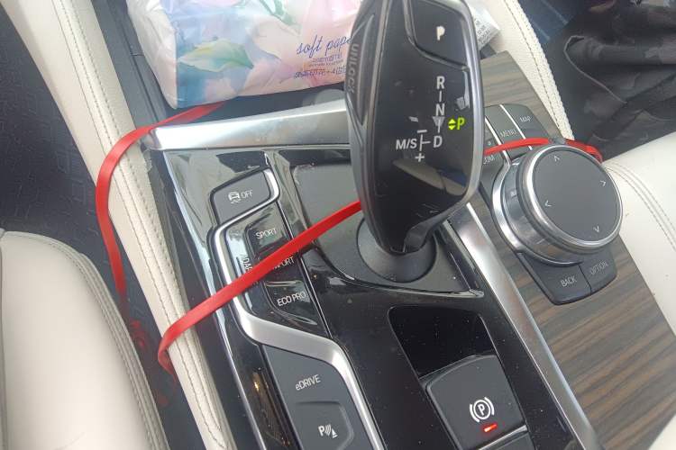 Used BMW 5 Series New Energy 2019 530Le Luxury Package
