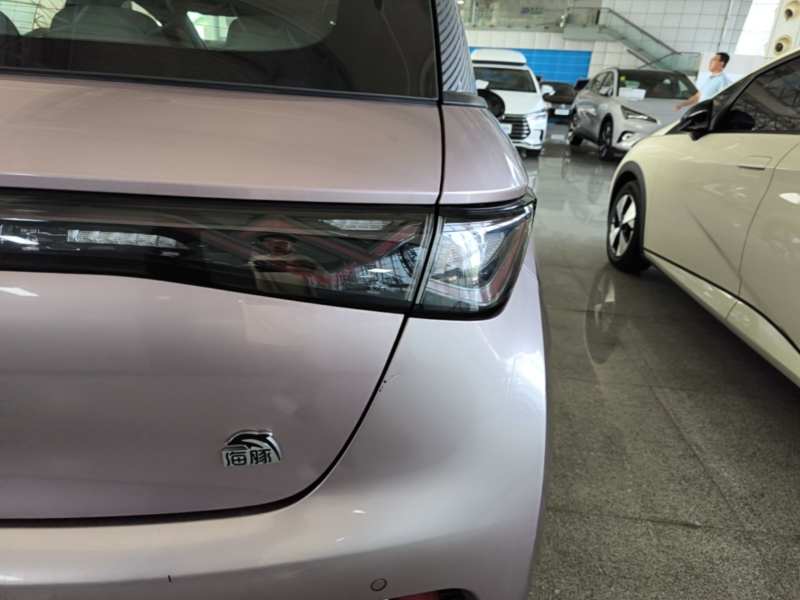 Used BYD Dolphin 2021 401km Knight Edition — 7