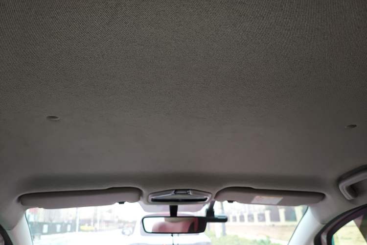 Used Geometry E Firefly 2024 401 km Fluorescent Headliner