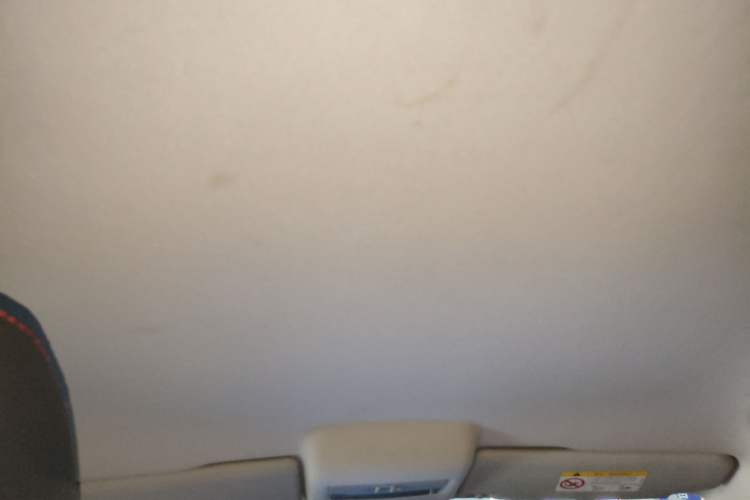 Used Volkswagen Polo 2018 1.5L Automatic Advanced Driving Model Headliner