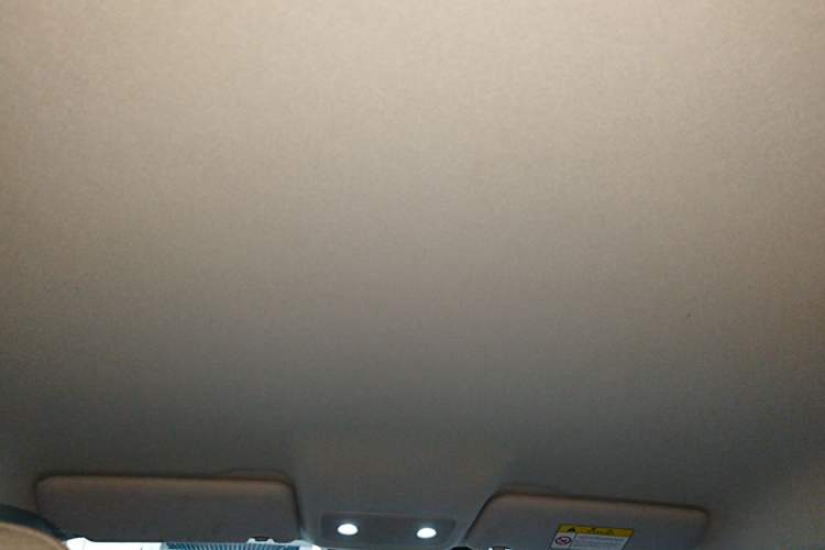 Used Leapmotor T03 2022 Agate Edition Headliner