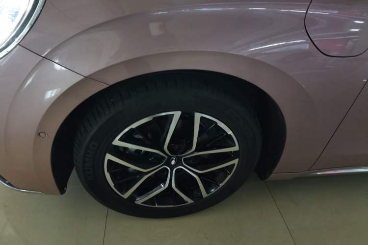 Used ORA Lightning Cat 2022 555 km Luxury Edition
