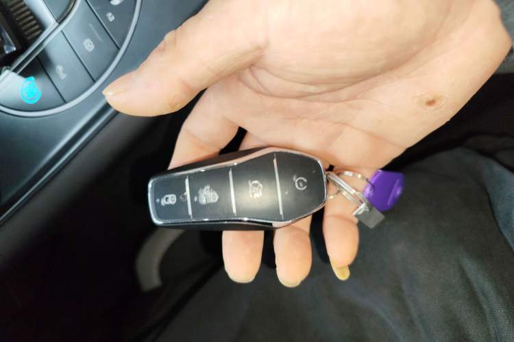 Used BYD Sealion 05 DM-i 2025 DM-i Smart Drive 115KM Flagship Model