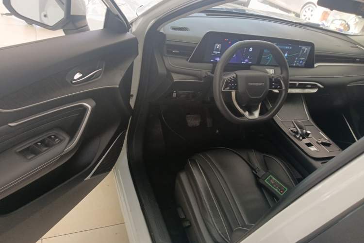 Used Venucia V 2021 260T Idol Edition Driver Seat