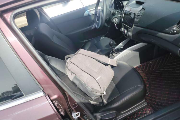 Used Kia Forte 2014 1.6L MT GL
