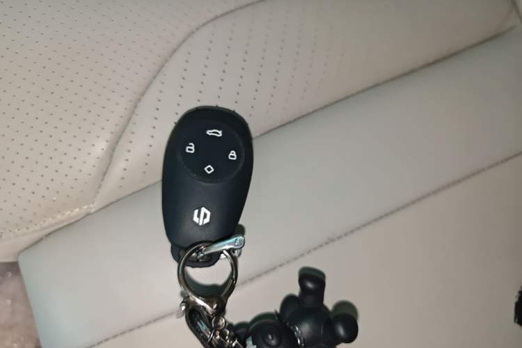 Used Leapmotor C11 2021 Luxury Edition
