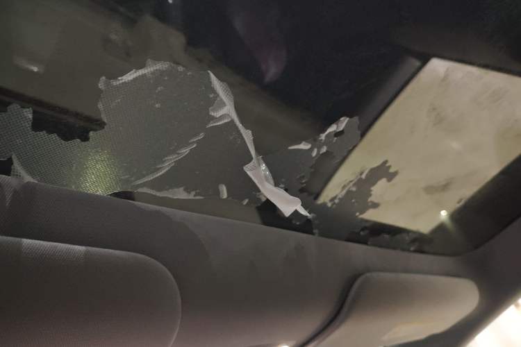 Used Tesla Model Y 2025 Long-Range All-Wheel-Drive Version