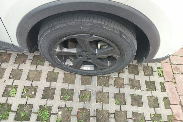 Used Geometry E Firefly 2023 320KM Cute & Handsome Tiger 5 Seats