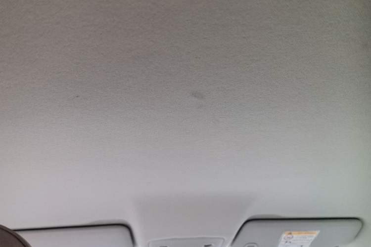 Used Leapmotor T03 2024 403 Comfort Edition Headliner