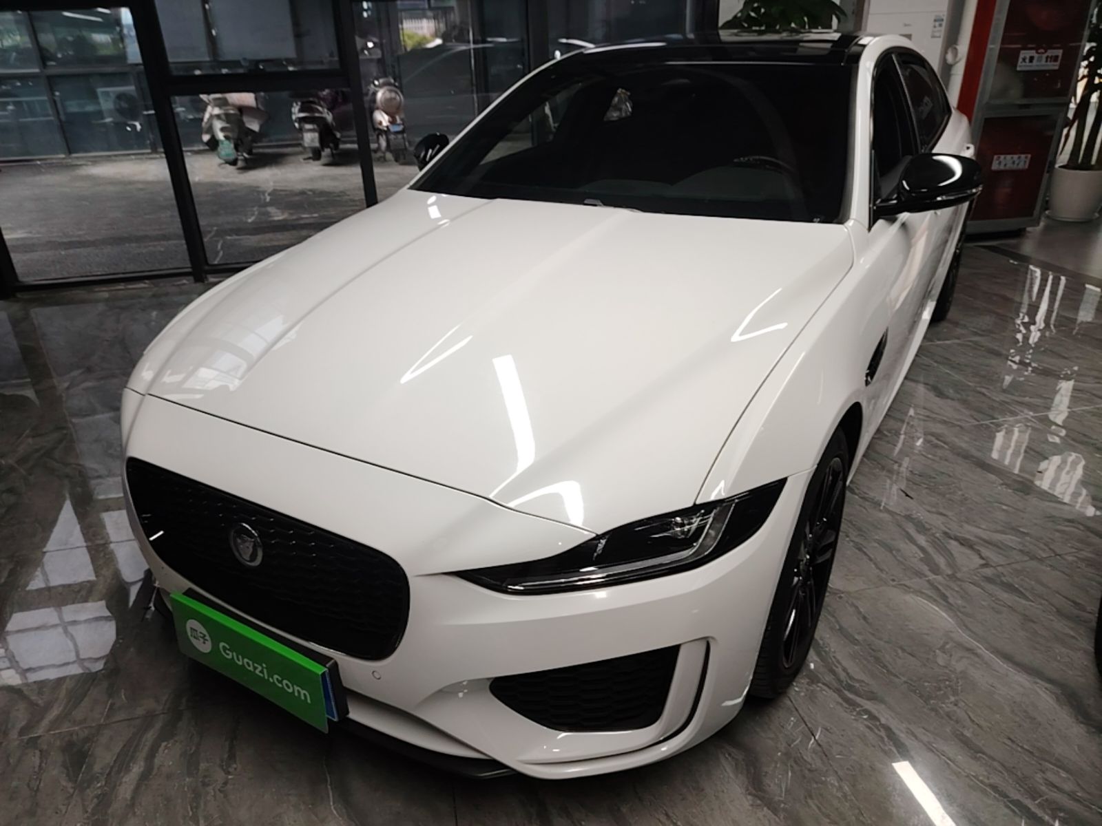Under Front Bumper