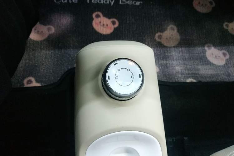 Used Wuling Hongguang MINIEV 2024 3rd Generation 215km Advanced Version Gear Lever