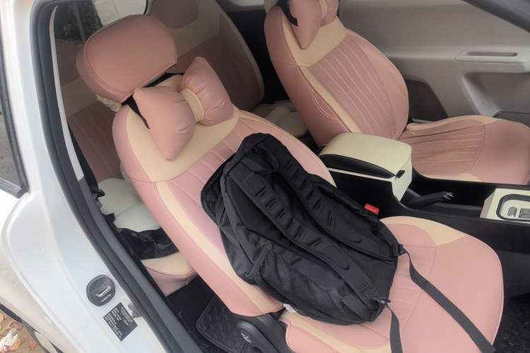 Used CHANGAN NEVO Lumin 2025 205 km Xiangqin Version Right Front Seat