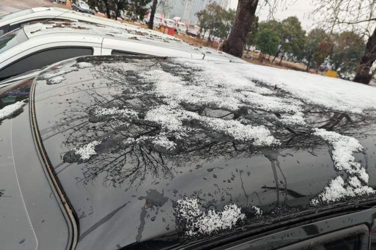 Used FORTHING Lingzhi 2023 M5L 1.6L Base Model 7 Seats
