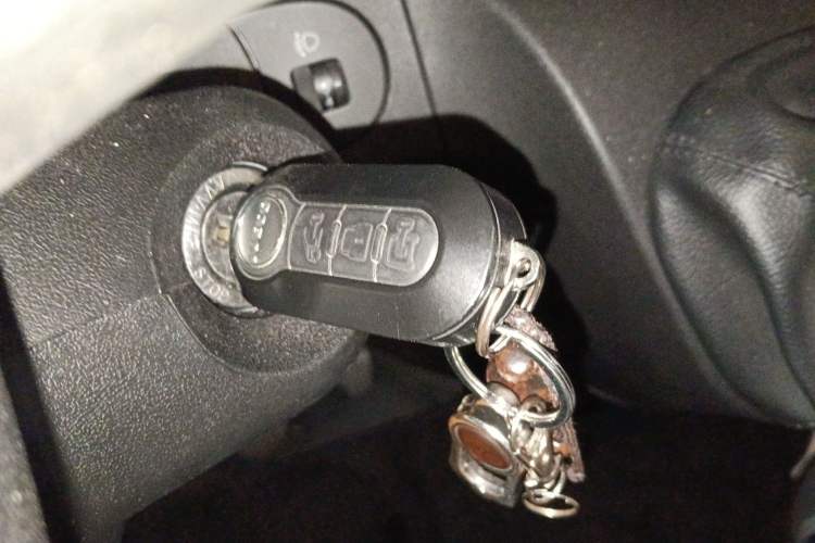 Used Iveco Eurocargo 2021 2.0T Manual Super-Rui Short Wheelbase Low-Roof Side-Hinged Door F1A
