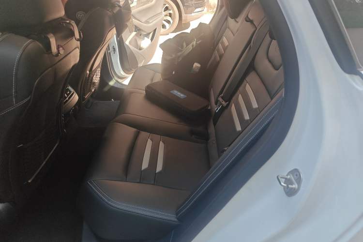 Used BYD Qin Pro New Energy 2018 EV500 Developer Edition Professional Model Left Rear Seat