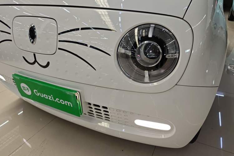 Used ORA Black Cat 2021 351 km Luxury Version
