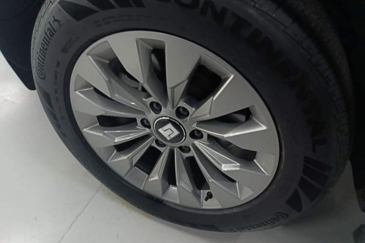 Used Tank 500 New Energy 2023 Hi4-T