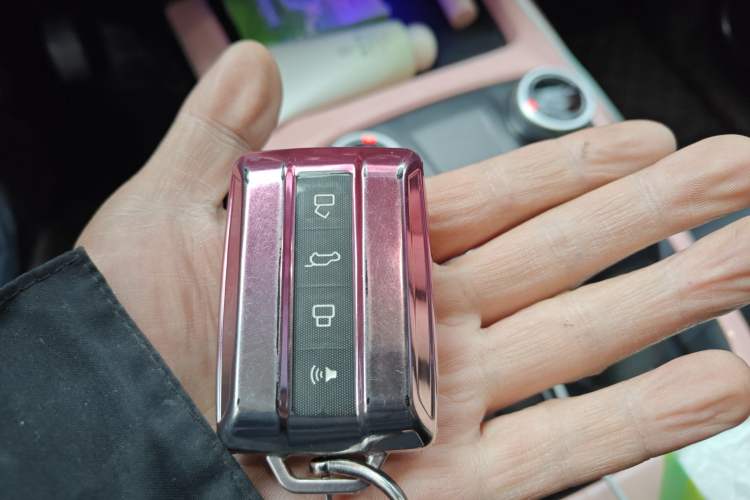 Used Tank 300 2021 City Edition 2.0T—Truly Stylish