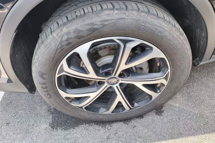 Used BYD Tang New Energy 2025 Intelligent Driving Version DM-i 115KM Flagship Edition