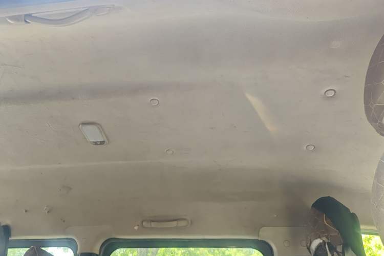 Used FORTHING Lingzhi 2020 M5L 1.6L Base Model 7 Seats Headliner