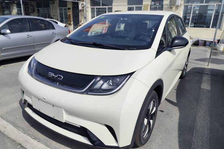 Used BYD Dolphin 2025 420km Free Edition