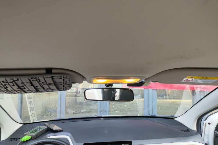 Used SOL E10X 2022 Flower Fairy Style Baby's Breath