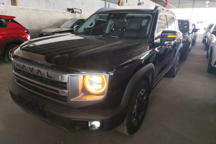 Used Haval DARGO 2024 2.0T DCT Chinese Rural Dog Edition