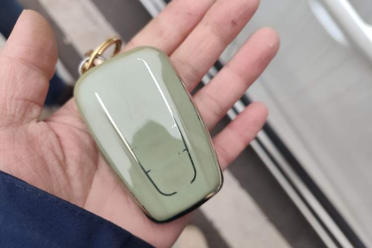 Used Toyota Wildlander 2021 2.0L CVT Two-Wheel Drive Luxury Edition