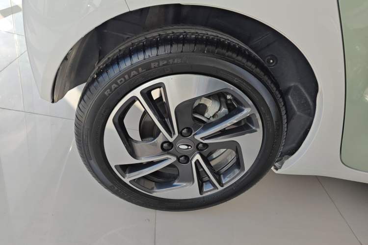 Used ORA Black Cat 2022 351 km Comfort Version Ternary Lithium