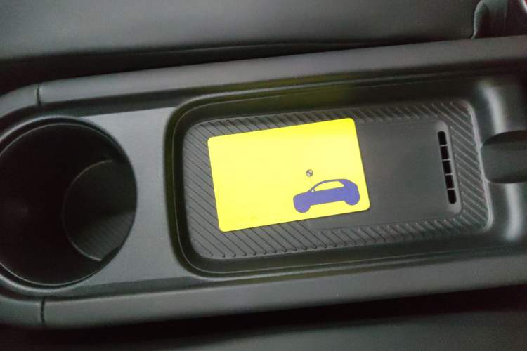 Used firefly 2025 Night Creature Special Edition
