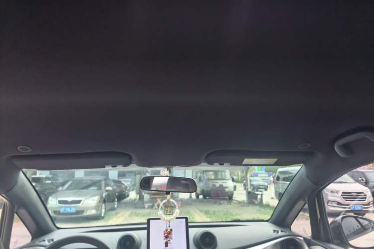 Used BYD Dolphin 2023 420 km Free Version Headliner