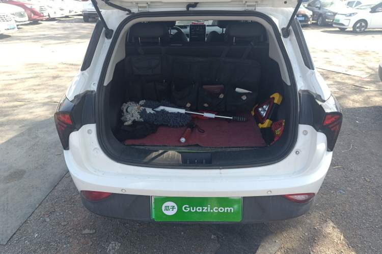 Used NETA V 2021 Long-Range Entertainment Edition Trunk