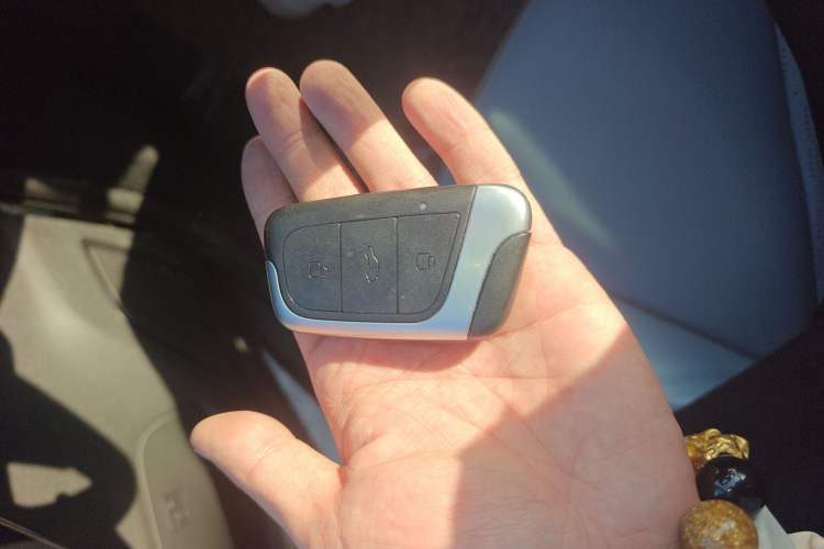 Used Chery Little Ant 2022 Sweet Pink Edition Full-Sugar Version 3-Cell Lithium 30kW 301km
